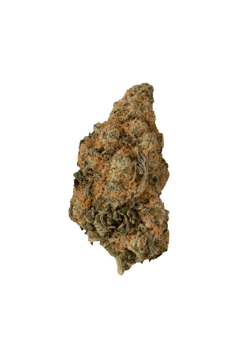 flower_TangerineCookiesBuds (2)