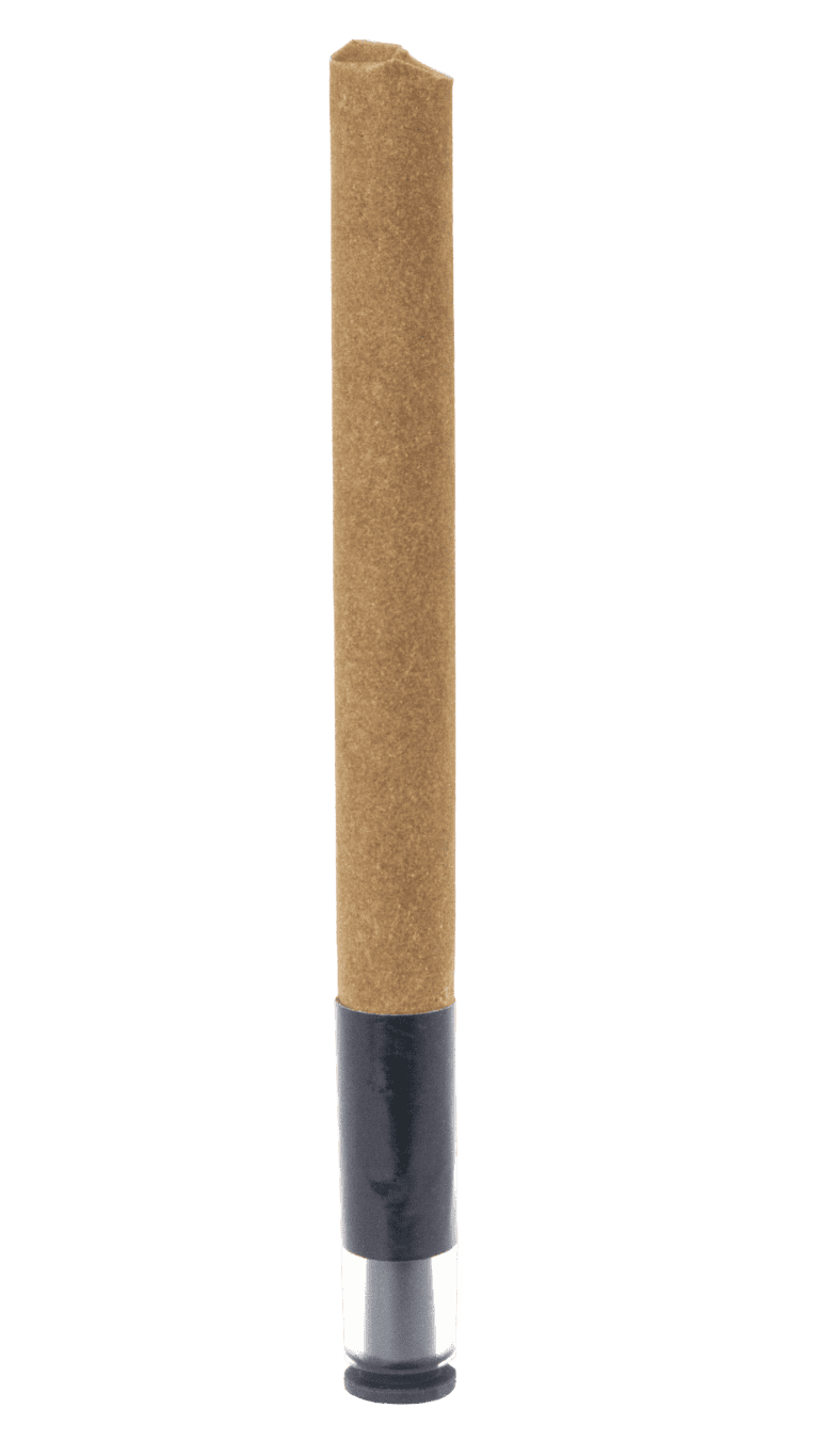 melonDriverCannagar_v01 (1)